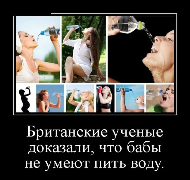 demotivatory_09 (1).webp