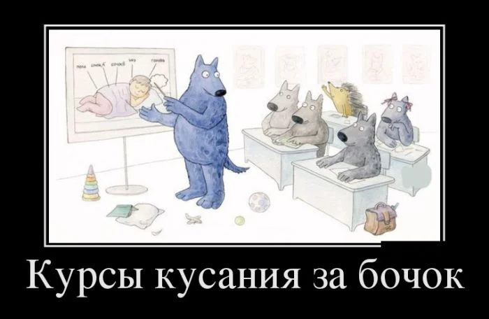 demotivatory_10 (1).webp