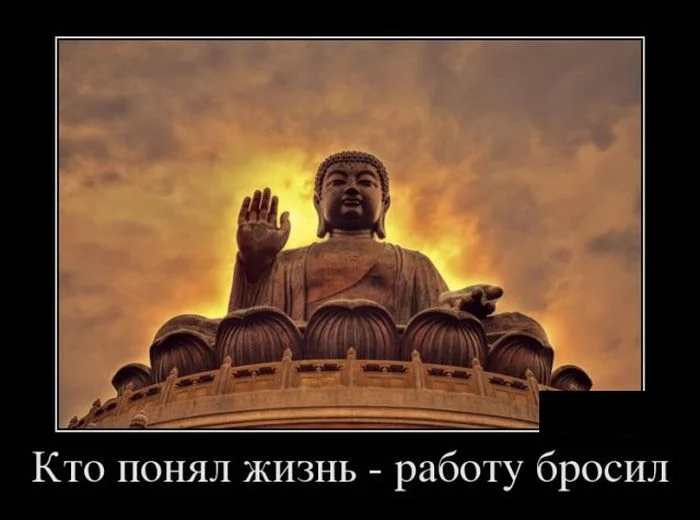 demotivatory_11 (1).webp