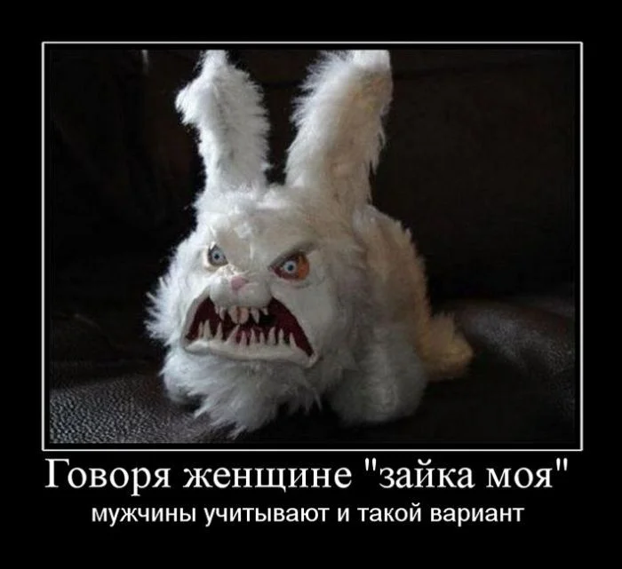 demotivatory_18 (2).webp