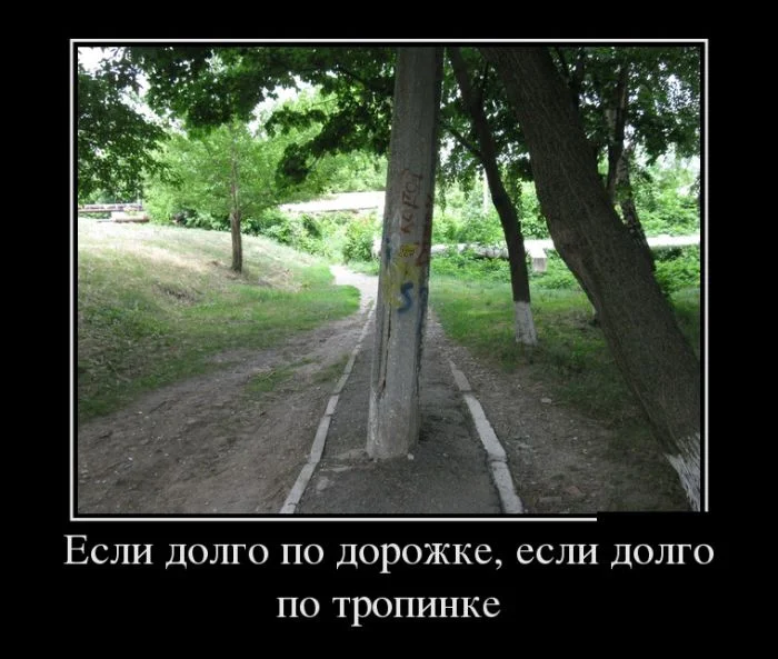 demotivatory_18 (3).webp