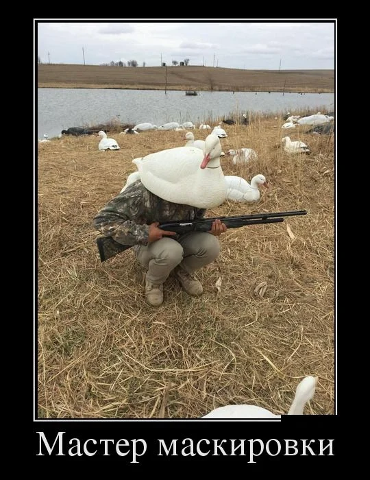 demotivatory_24 (2).webp