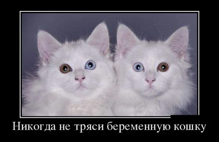 demotivatory_25.webp
