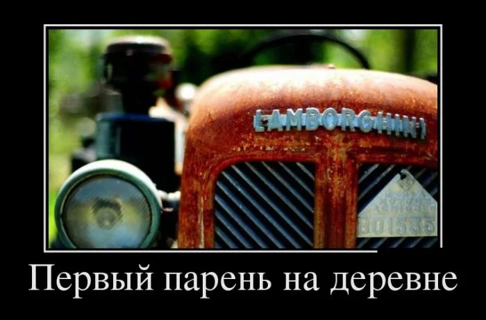 demotivatory_26 (1).webp