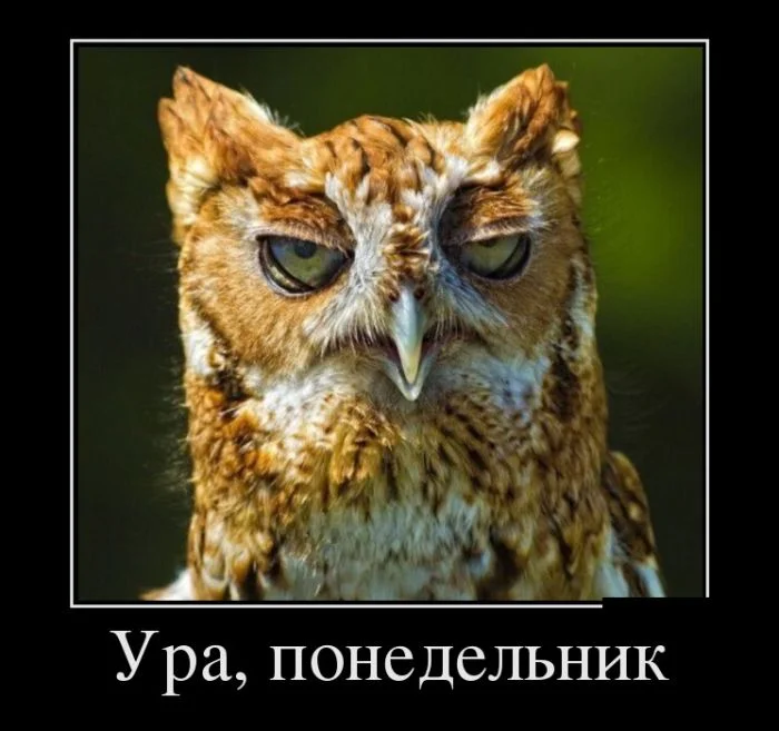 demotivf.webp