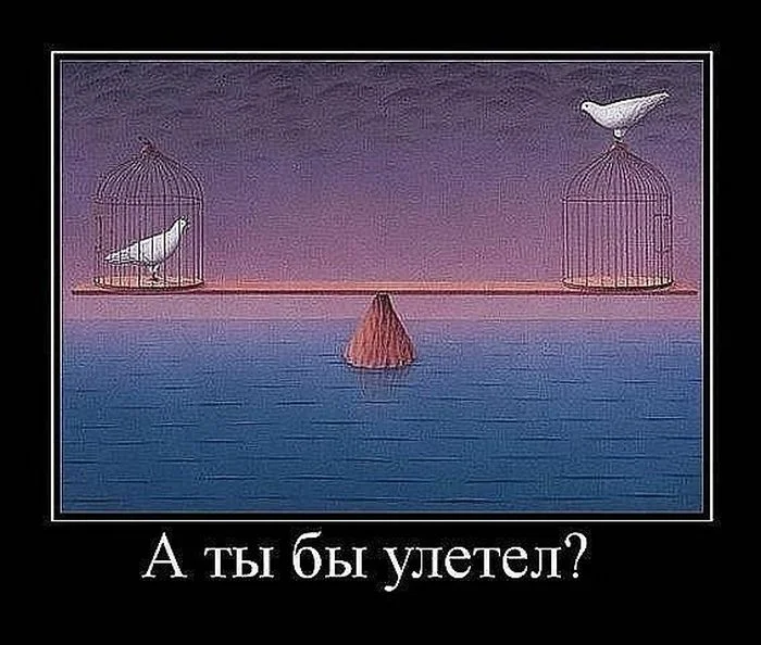 demotivs-а ты б улетел.webp