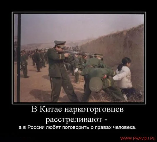 Demotovator (3).webp