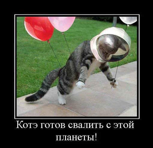 den-kosmonavtiki-demotivatory-34.jpg