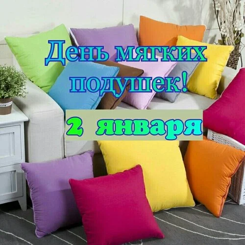 den-myagkix-podushek-2-yanvarya.webp