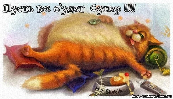 день рождения2.webp