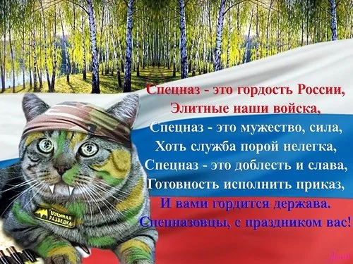 День-спецназа1.webp