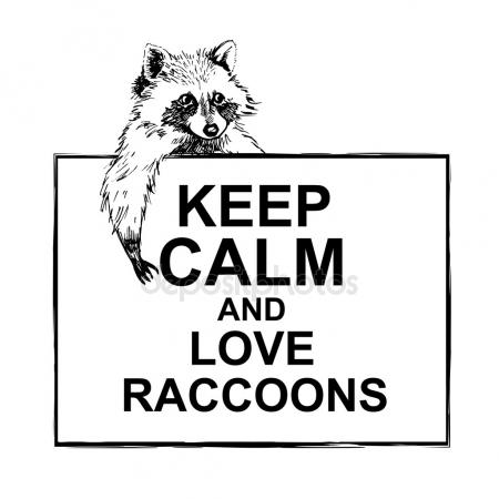 depositphotos_109841652-stock-illustration-funny-and-touching-raccoon-lies.jpg