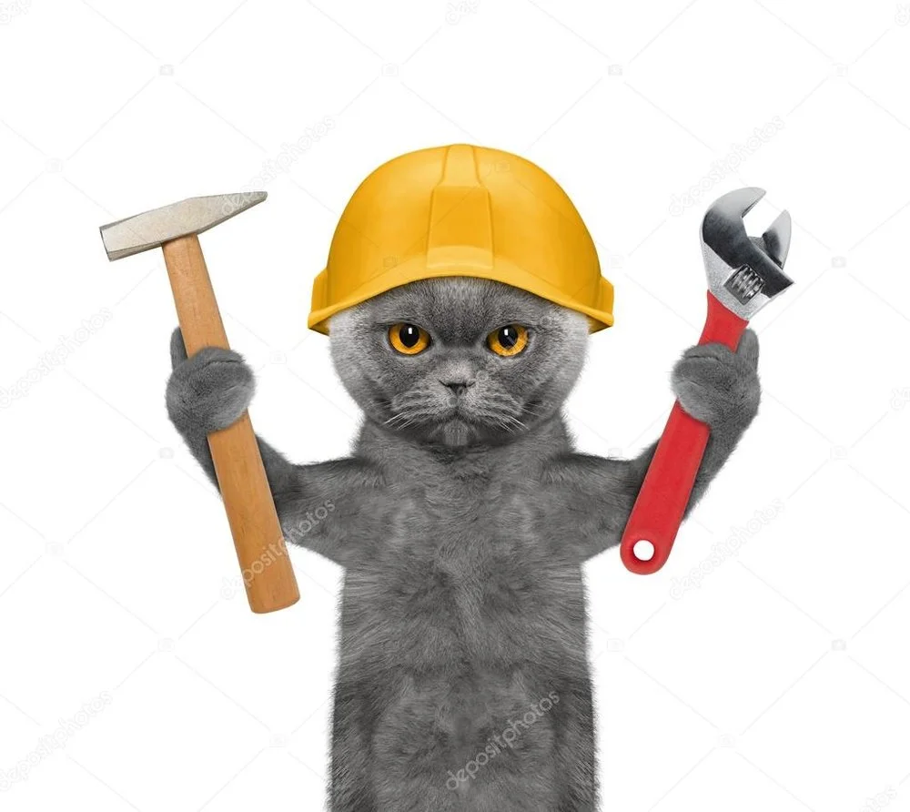 depositphotos_113875826-stock-photo-cat-builder-holding-tools-in.webp