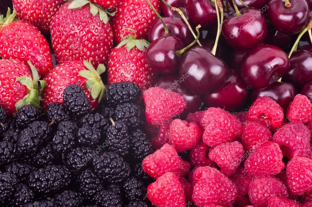 depositphotos_11438848-stock-photo-berries.webp