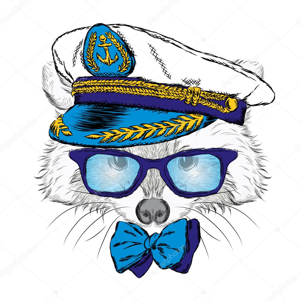 depositphotos_118183014-stock-illustration-cute-raccoon-in-the-captains.jpg