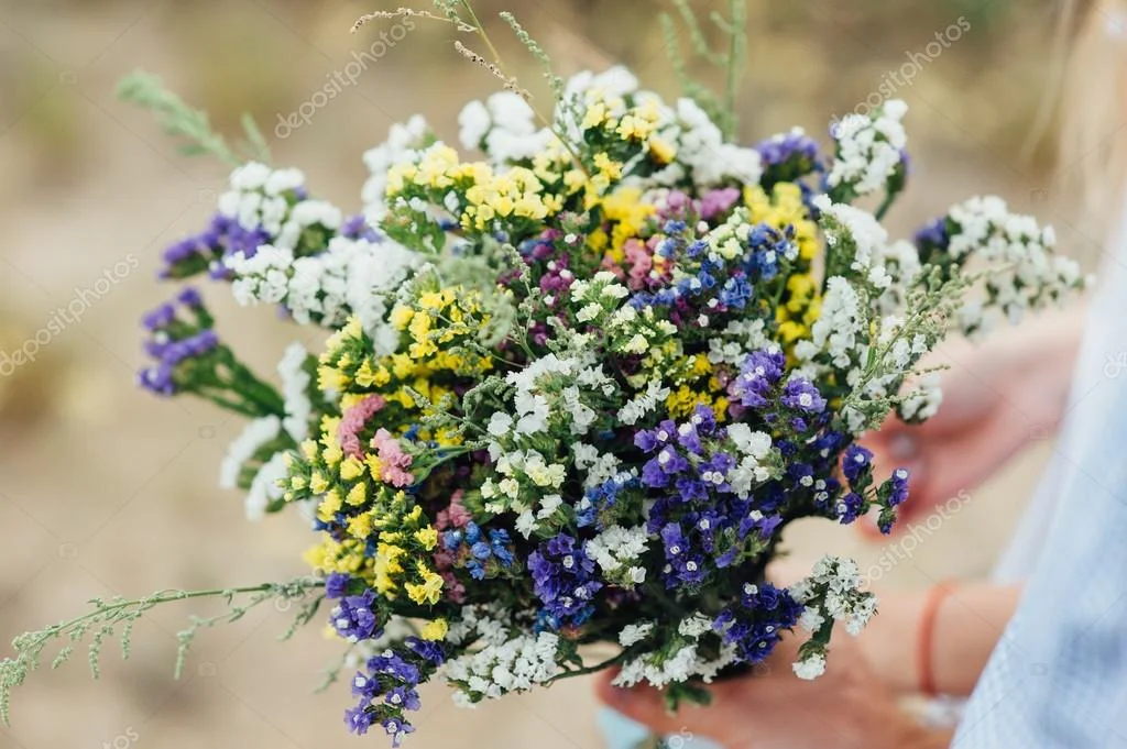 depositphotos_120255474-stock-photo-beautiful-bouquet-of-wild-flowers.webp