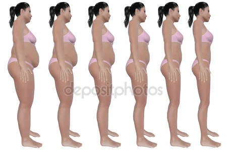 depositphotos_13535465-stock-photo-weight-loss-progress-side-view.webp