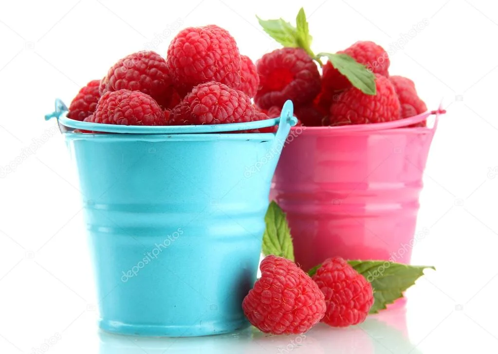 depositphotos_14081500-stock-photo-beautiful-raspberries-in-buckets-isolated.webp