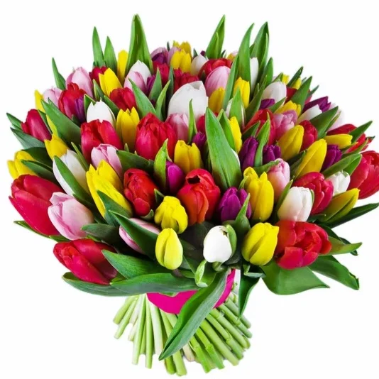 depositphotos_147850759-stock-photo-bouquet-of-tulips.jpg