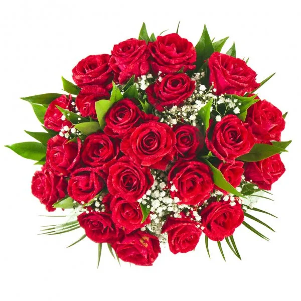 depositphotos_15835847-stock-photo-big-bunch-bouquet-of-red.webp