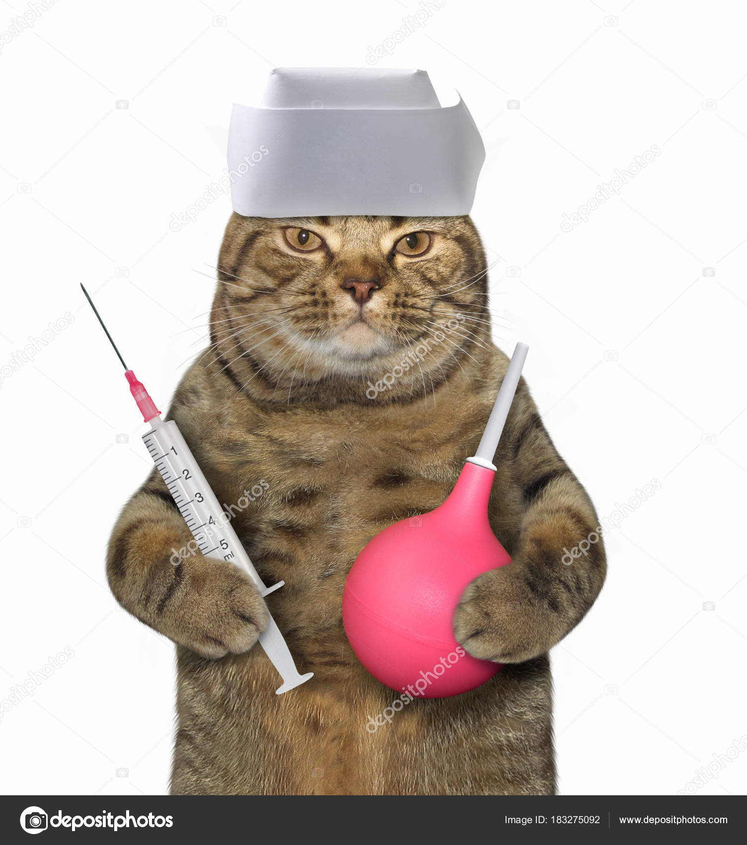 depositphotos_183275092-stock-photo-cat-doctor-with-syringe-and.jpg