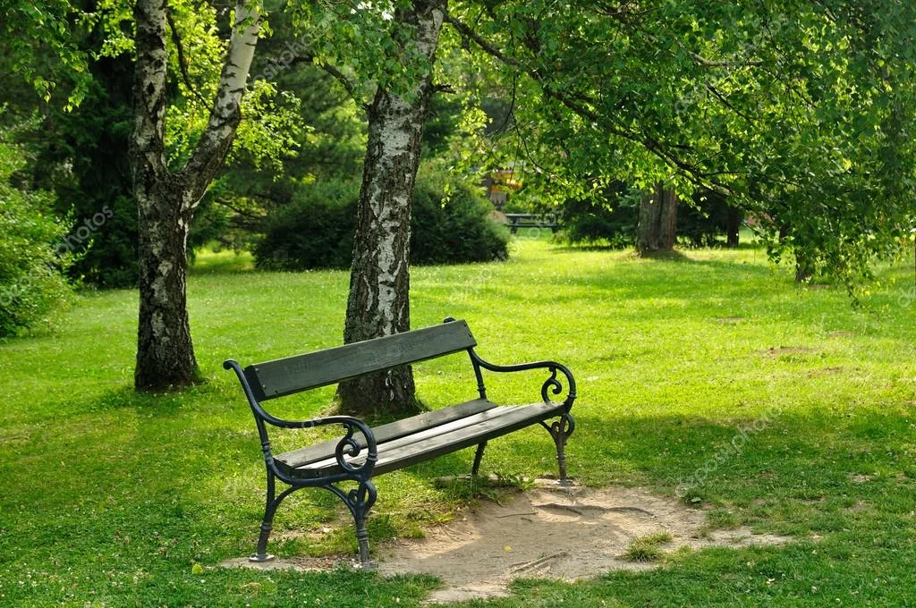 depositphotos_19884217-stock-photo-bench-in-park.webp
