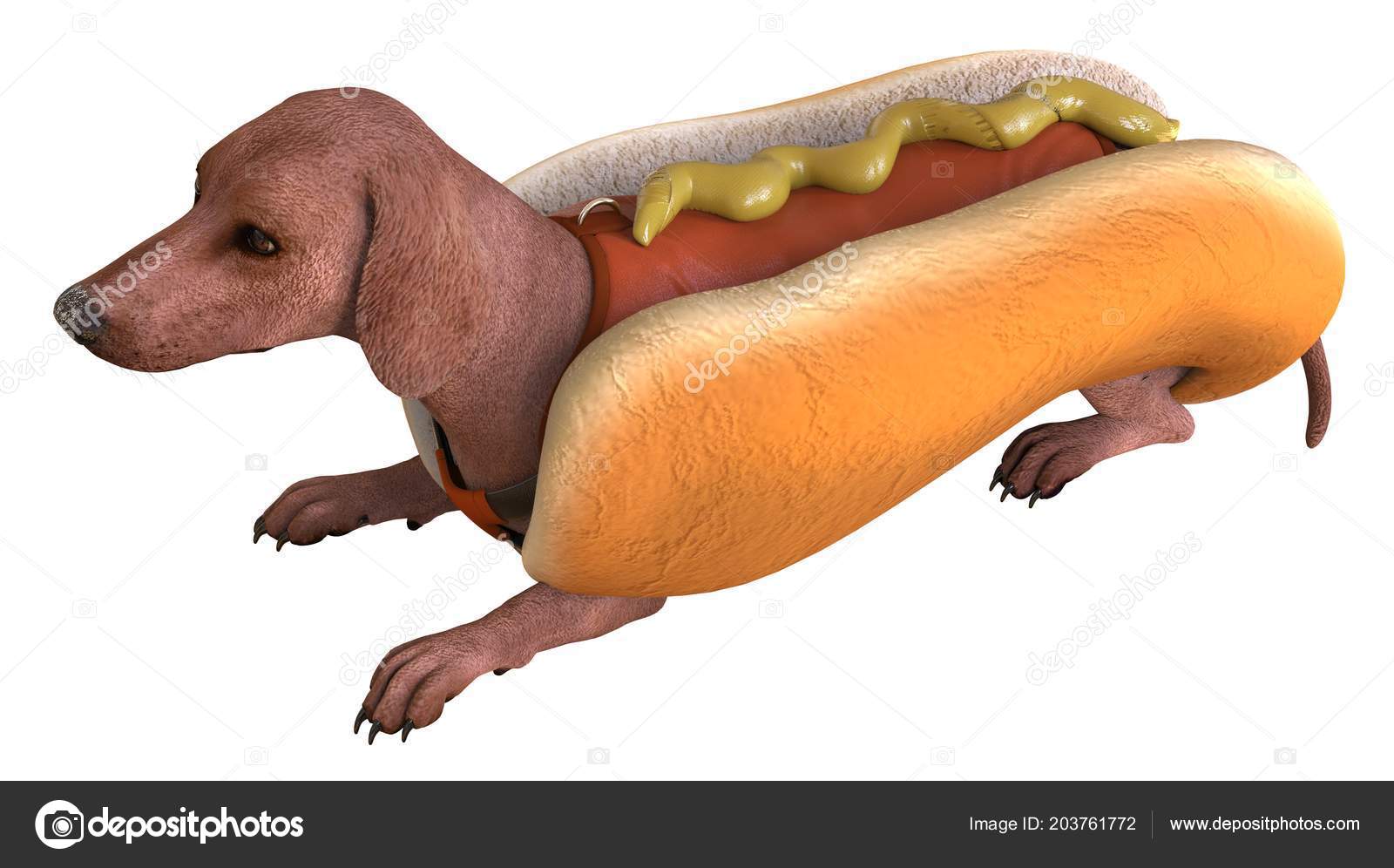 depositphotos_203761772-stock-photo-illustration-dog-hotdog-suit-isolated.jpg