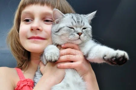 depositphotos_20462923-stock-photo-child-with-a-cat.webp