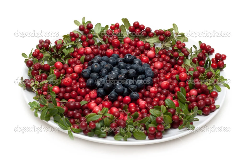 depositphotos_2120508-Cowberry-and-whortleberry-on-plate.webp
