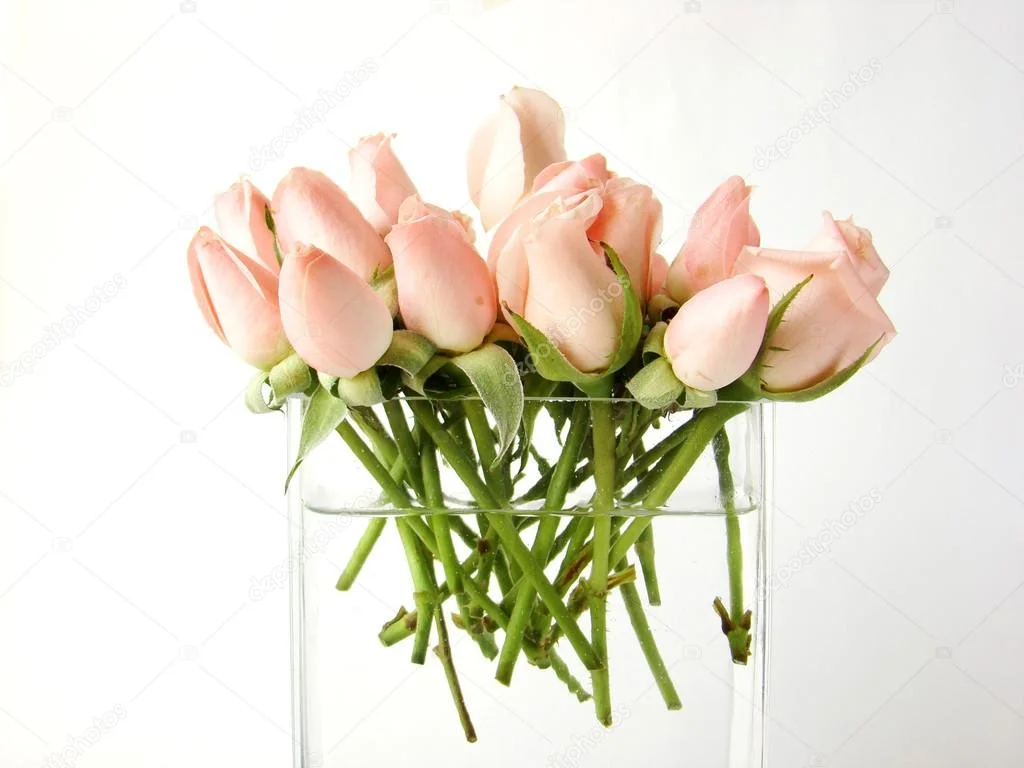 depositphotos_2626927-stock-photo-little-pink-roses-bouquet-on.webp