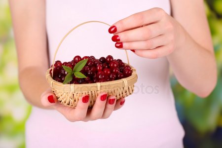 depositphotos_26825461-stock-photo-woman-hands-holding-basket-of.jpg