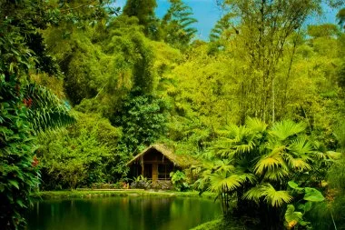 depositphotos_30429079-stock-photo-cabin-in-the-jungle.webp