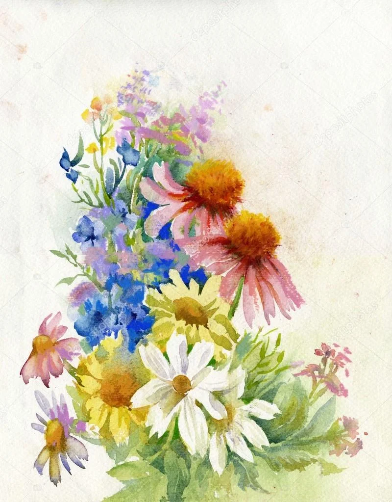 depositphotos_30434189-stock-illustration-a-bouquet-of-wildflowers.webp