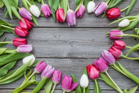 depositphotos_42834555-stock-photo-frame-of-fresh-tulips-arranged.jpg