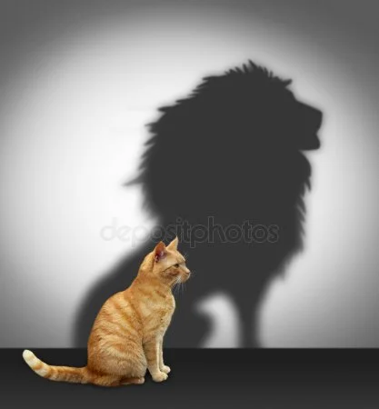 depositphotos_43992359-stock-photo-cat-with-lion-shadow.webp