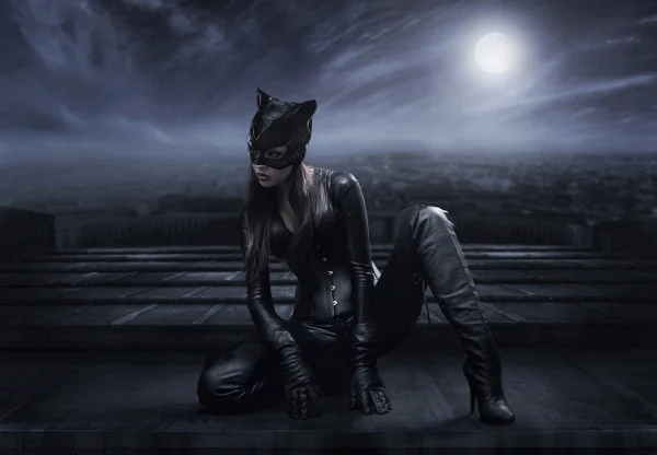 depositphotos_5115939-stock-photo-catwoman-sitting-on-the-roof.webp