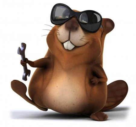 depositphotos_59326767-stock-photo-funny-beaver-in-sunglasses-with.webp