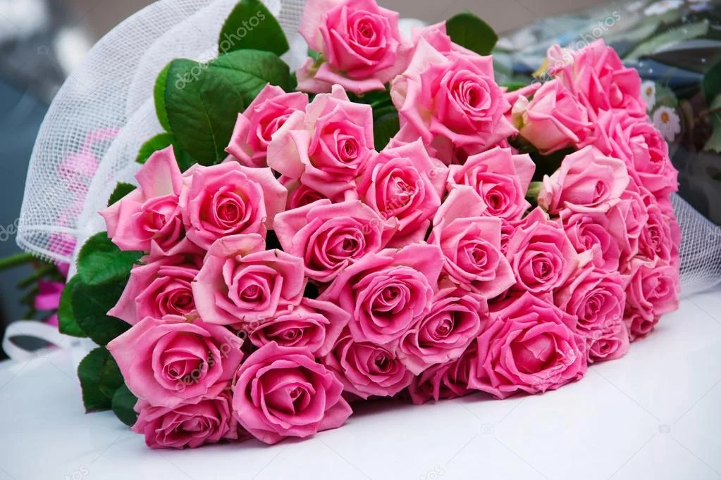 depositphotos_64236065-stock-photo-bouquet-beautiful-pink-roses.webp