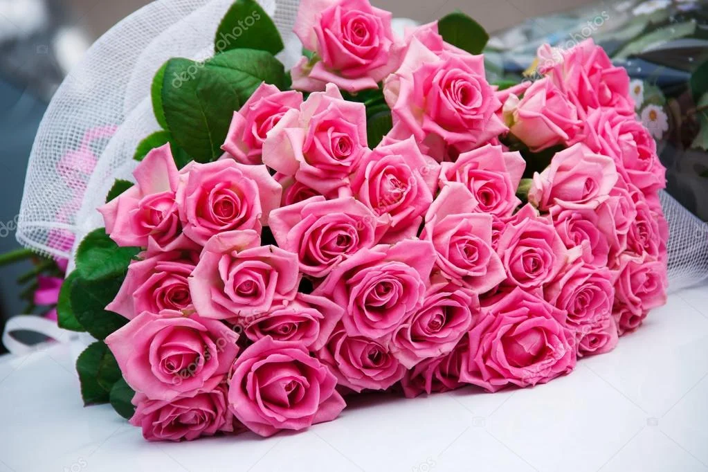 depositphotos_64236065-stock-photo-bouquet-beautiful-pink-roses.webp
