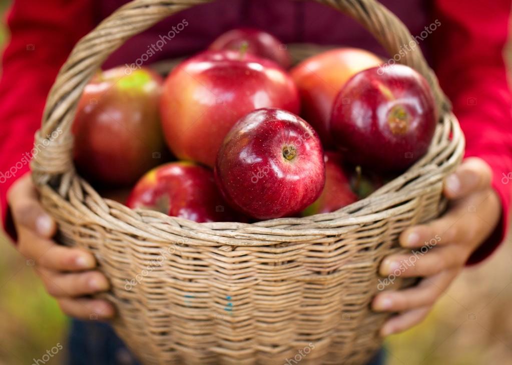 depositphotos_66710763-stock-photo-close-up-of-childs-hands.jpg