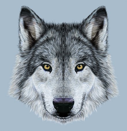 depositphotos_85309774-stock-photo-illustration-portrait-of-a-wolf.jpg