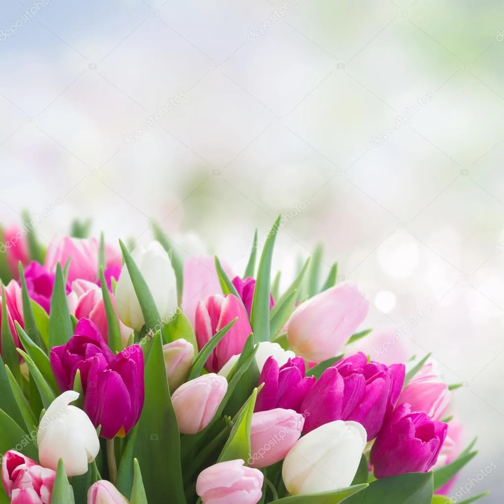 depositphotos_98555756-stock-photo-bouquet-of-pink-purple-and.webp