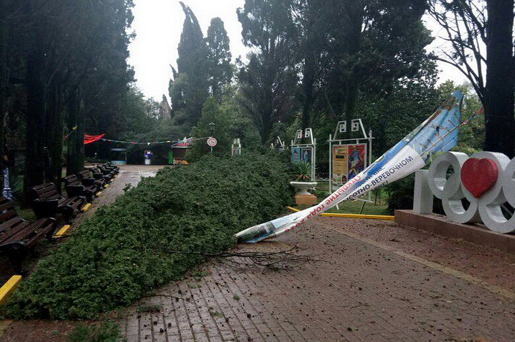 Деревья в Ривьере тоже не выдержали ураганного ветра..jpg