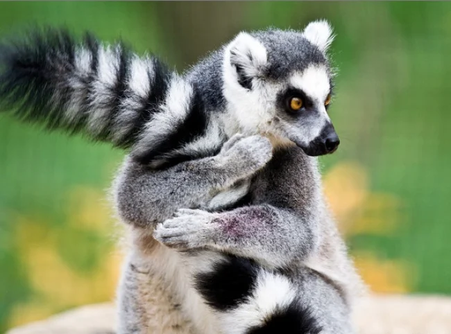 держи себя в руках.webp