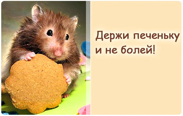 держи.webp