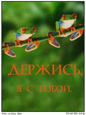 держись 1.webp