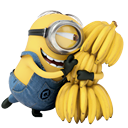 despicable-me-2-Minion-icon-3.png