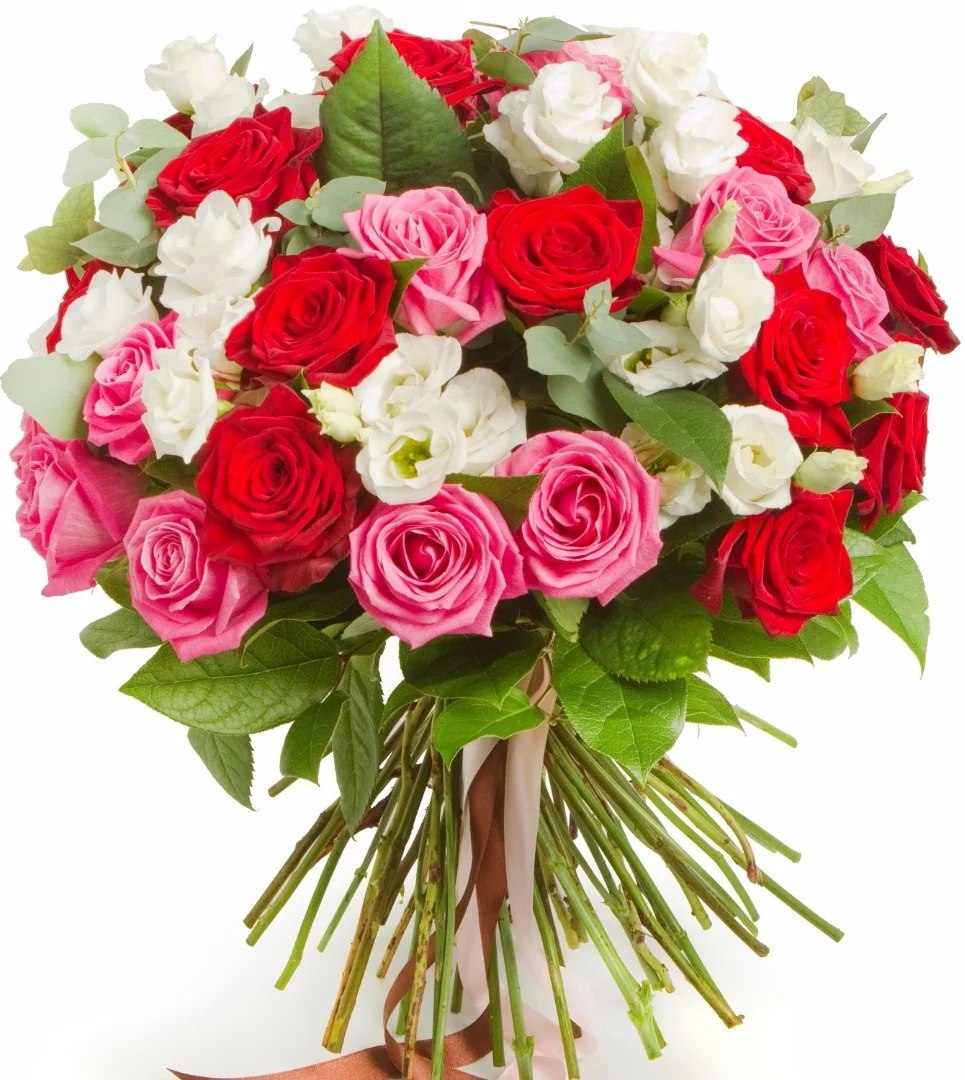 detail.zoom.flor (161).webp