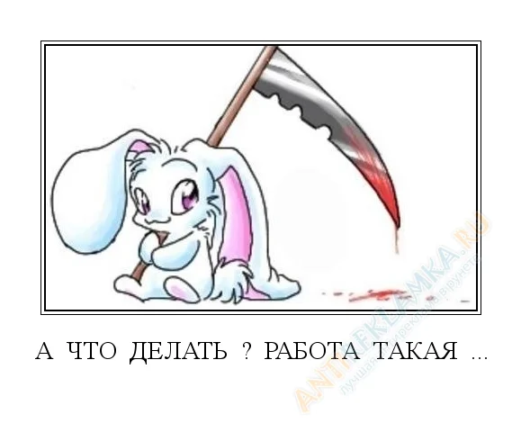 detail_chto_delat_rabota_takaya (2).webp