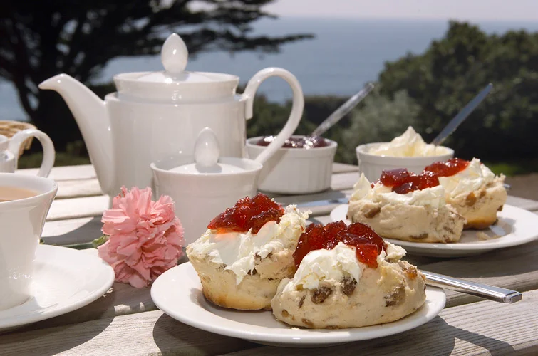 devon-cream-tea.webp